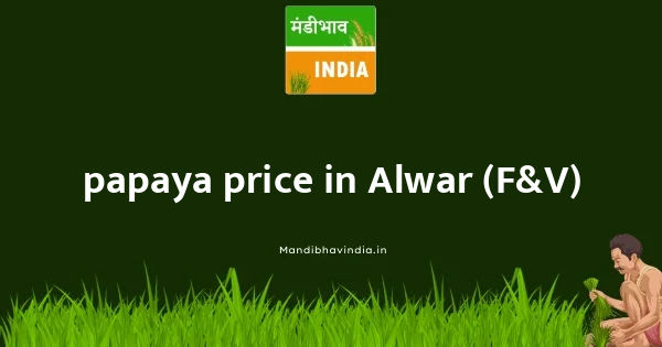 papaya price